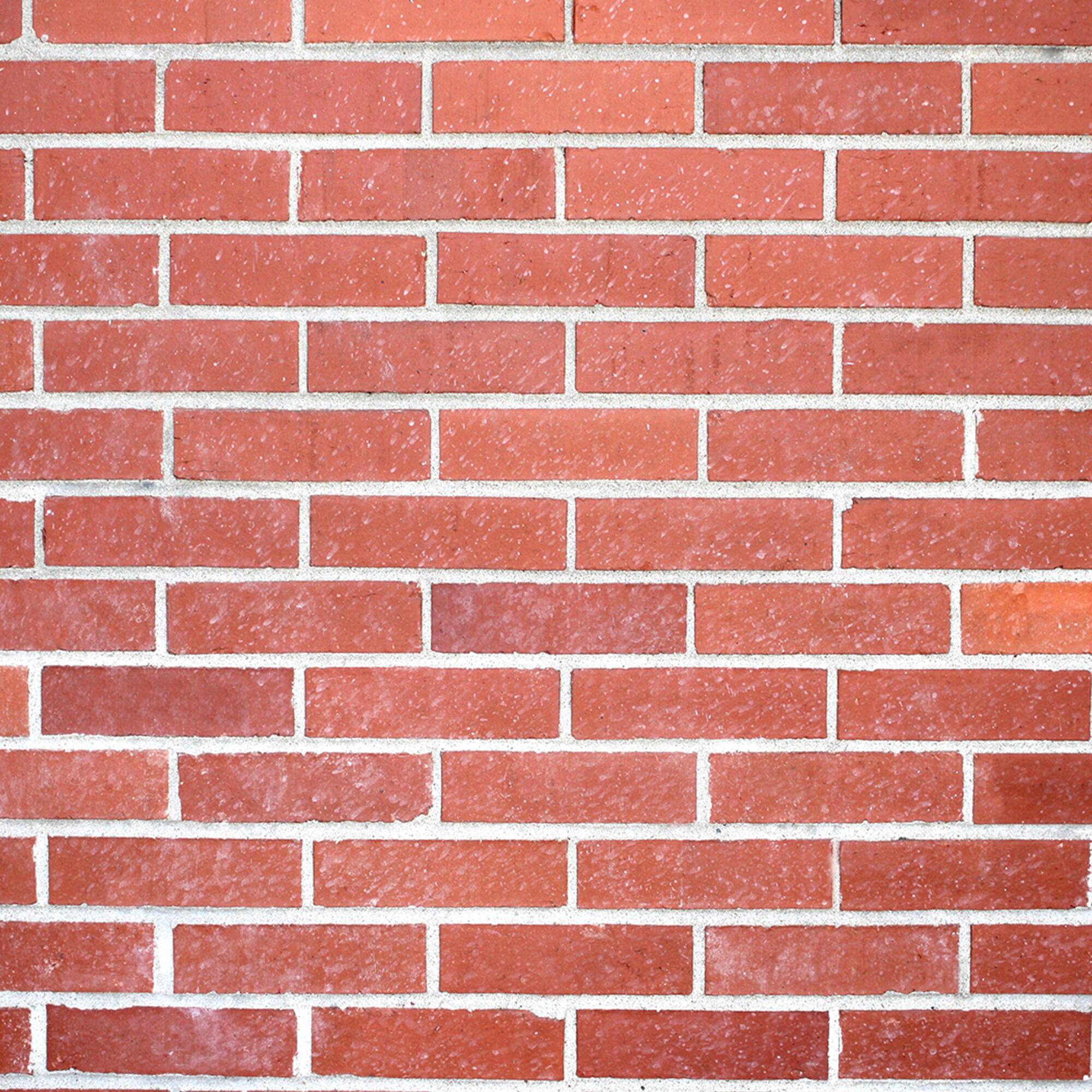 HangZ™ 10lb. Brick Hooks, 2ct.